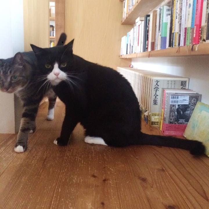 7ebc4b2c 712e 4d9f 82c6 de357015792e