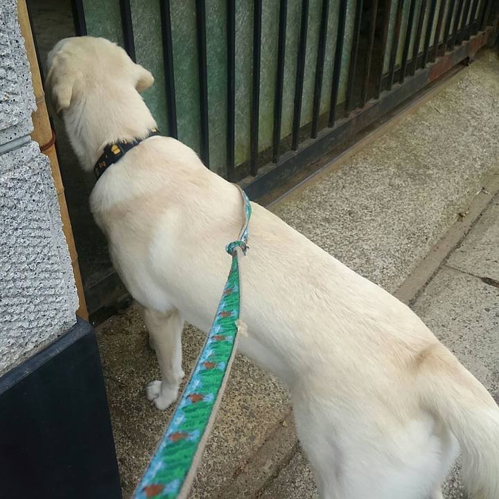 7ebc86d4 5a78 477f 9f66 bc59e6da9ba5