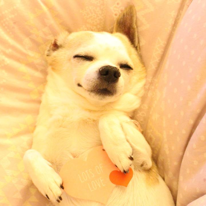 7ebd3cdf c3b7 47a5 a4cc 7b16ddc27c77