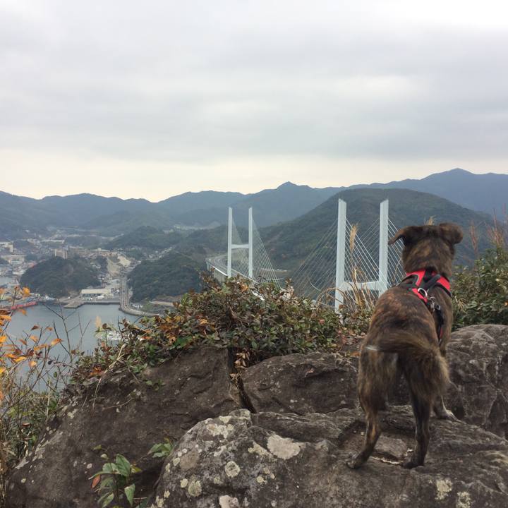 7ebda012 a3dd 467b 953d 828a06501a30