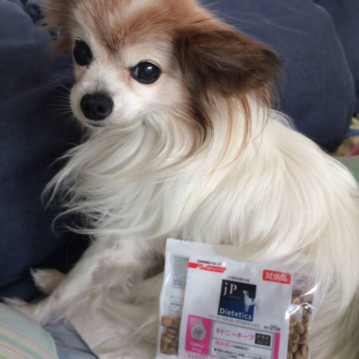 7ebf3a7e cd2e 4127 a79e 0324f0939804