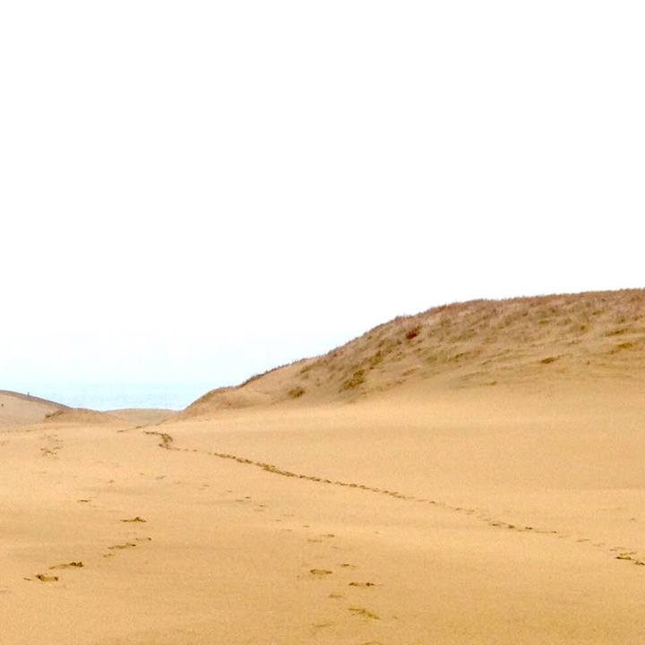 7ebfad0e 166b 4ec7 b964 7ae98e84866b