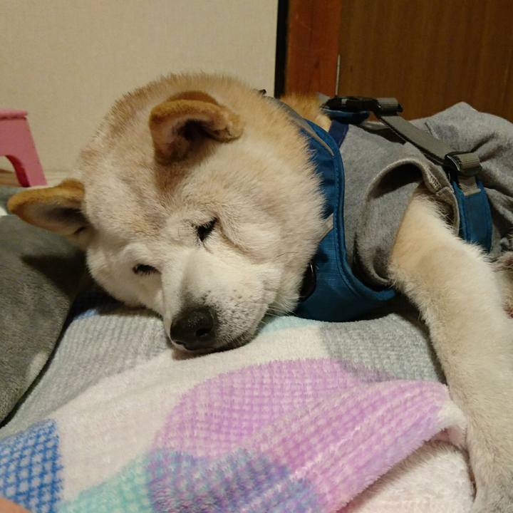 7ebfd5f8 a27d 478e 808b 9df3c6067d9e