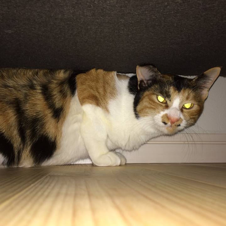 7ebff312 d360 4ba8 91ee 8cd586f18ad5