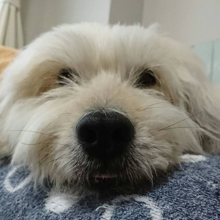 7ec00361 d3db 448a b94d d1419f44dc5e