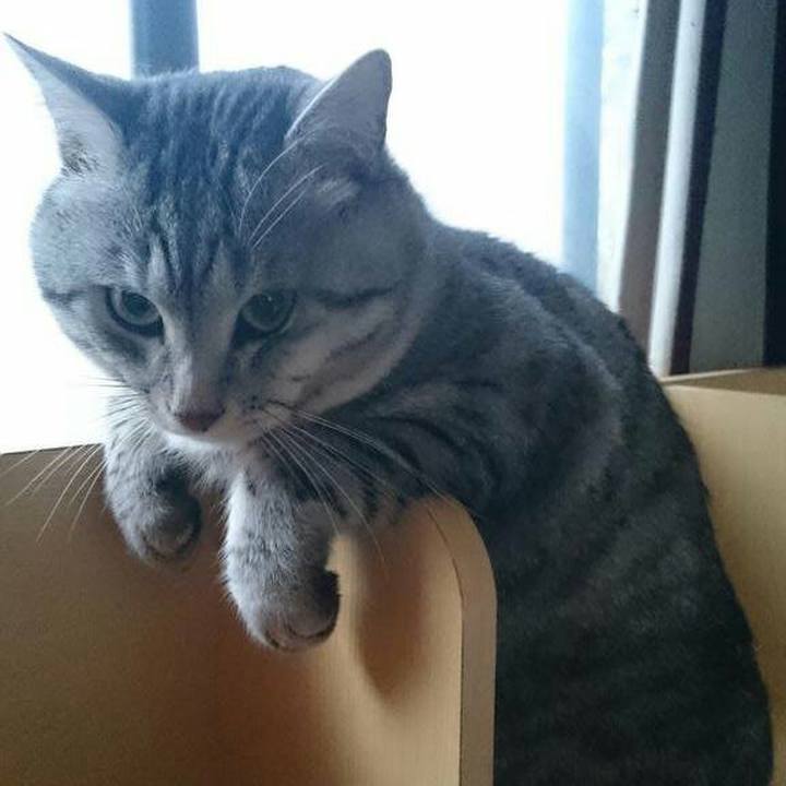 7ec04afb 52e2 44fa ba17 199dbf37301f