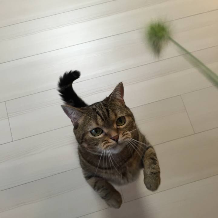 7ec05d0c fa98 4635 abbf d0ec3e64a877