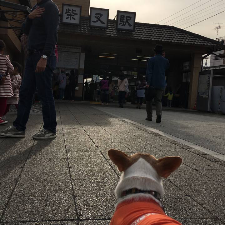 7ec099e7 ff5c 4b39 a4f5 374c1c1f0b8d