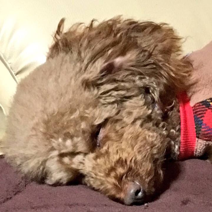 7ec0a06b 161e 454f a967 04fa7187a5bf