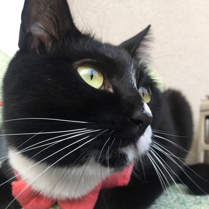 7ec23654 b504 4e62 b2e7 39b0a17861b8