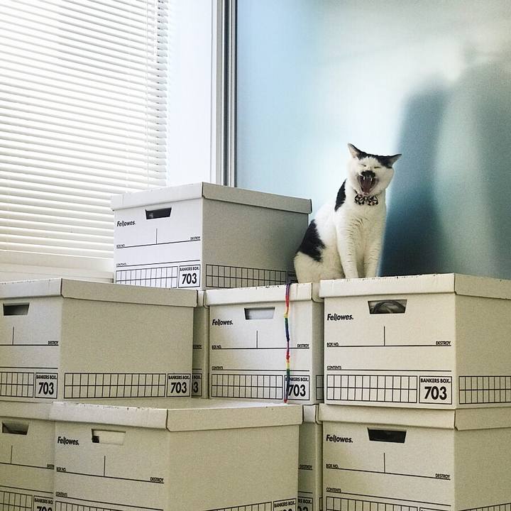 7ec24bd9 54c9 463d aad4 d5e57a2f8b25