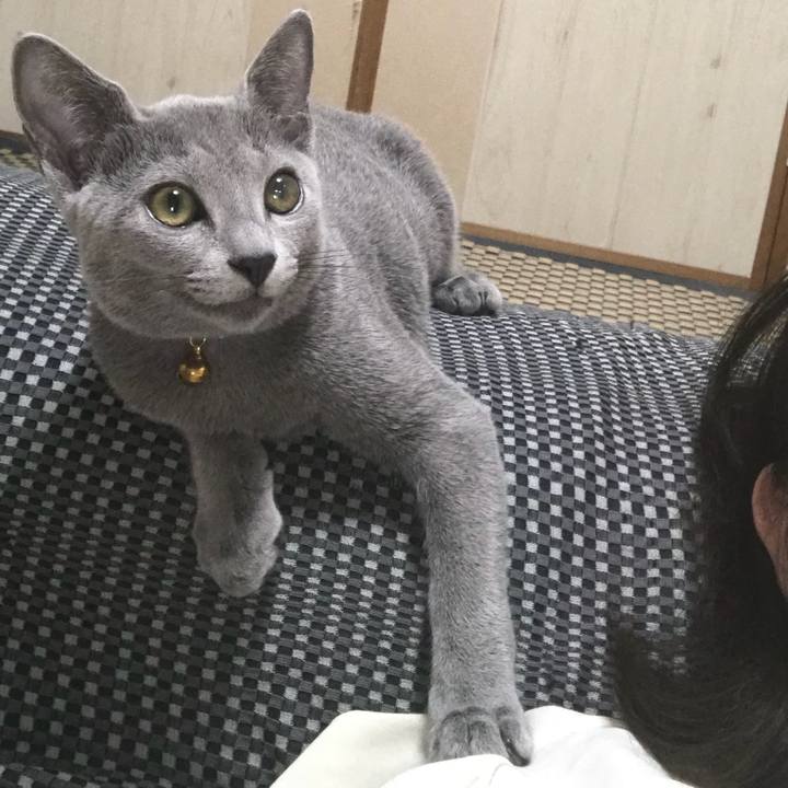 7ec25d21 5e68 4e97 bcff 5391118c4e65