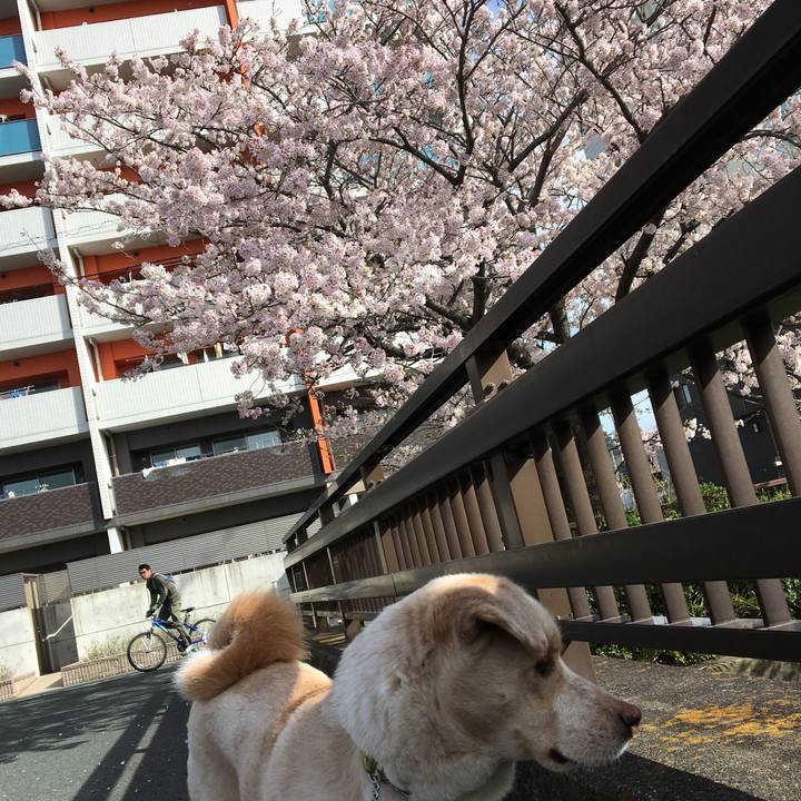 7ec326a5 c9bd 4f2a a0d7 1266d6a83616