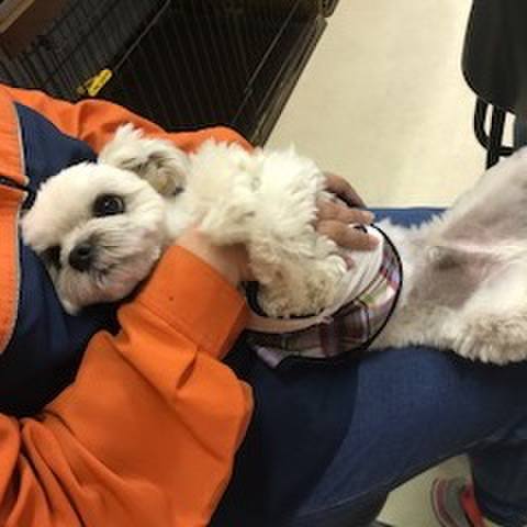 7ec422fa ee1a 4ee0 bbf7 b8814b889cb1