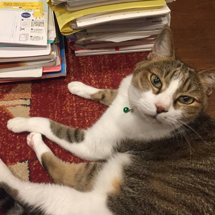 7ec43fe8 86cf 4fb5 86cd 8c4955352c07