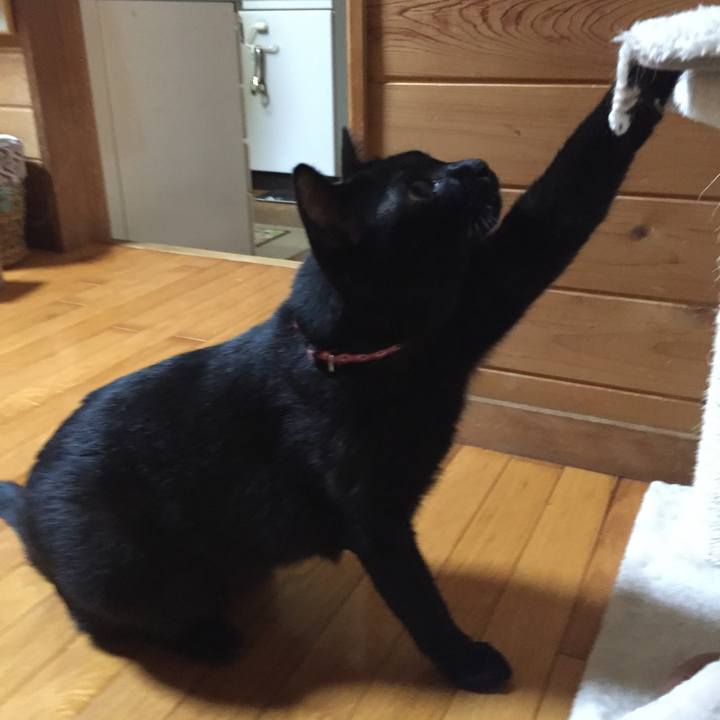 7ec47c35 5817 4157 9992 3c1d15f5a605