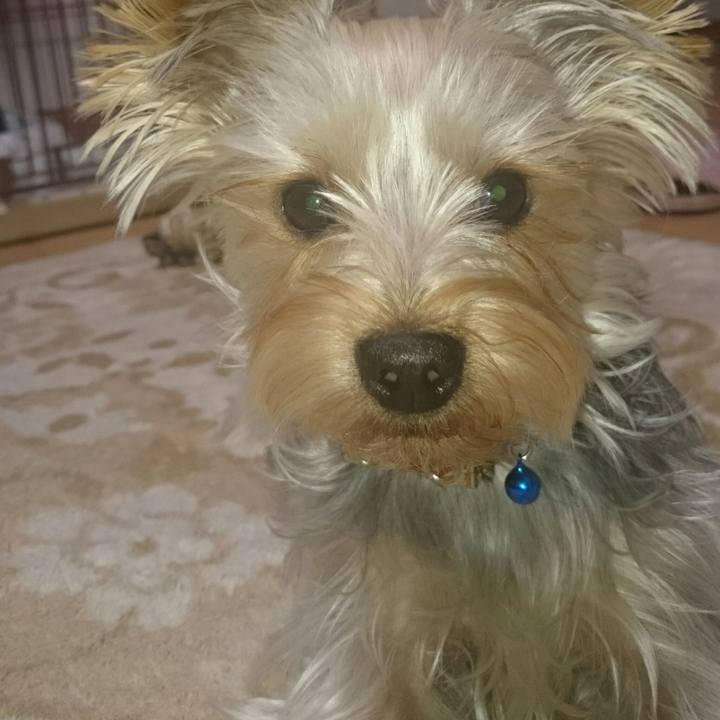 7ec4d2a6 53cb 48a9 bbfe 83a285d0f15a