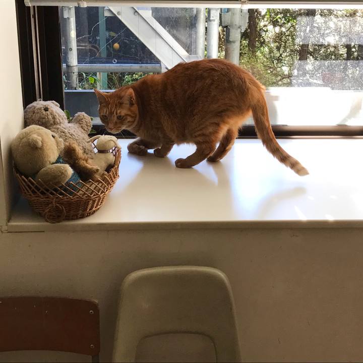 7ec5819f cbae 4a2b 9f48 a80a4a5852dd