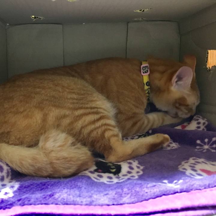 7ec5952a 8152 42e9 9bd6 802599e75f2d