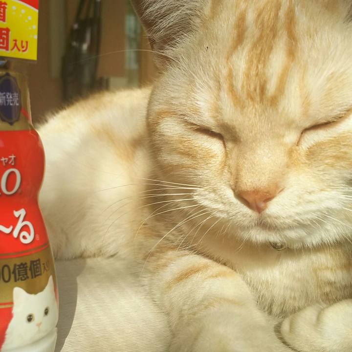 7ec59a93 999a 4565 917a 8d652d494ac8