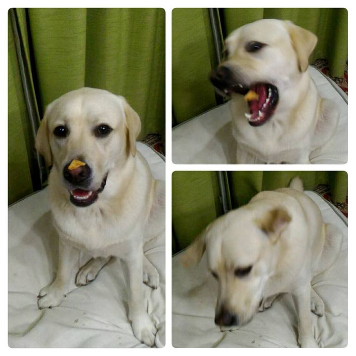 7ec5bf27 9cac 4ab8 8bef f6d201c13159