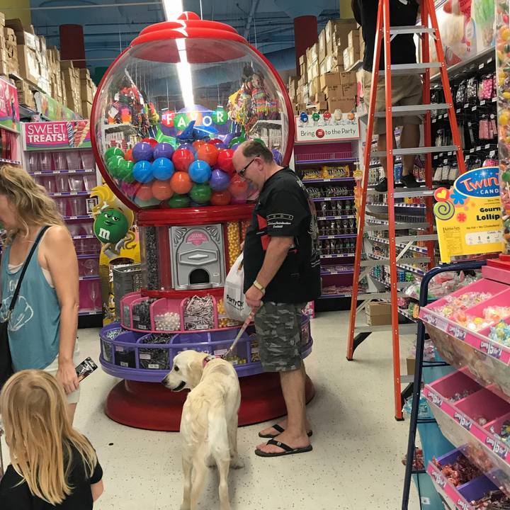 7ec6bf22 bca8 4709 b8ab edc5443e7fd3