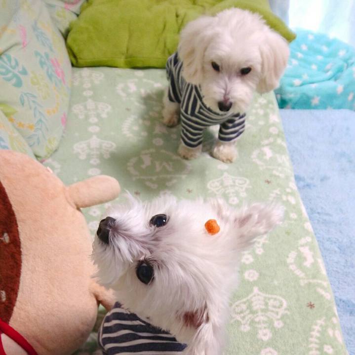 7ec71825 fbd6 40b0 adde f239fa176e4b