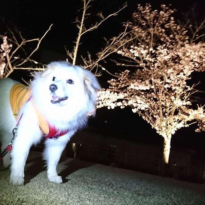 7ec72413 f0d4 4227 b809 1506f3b095b0