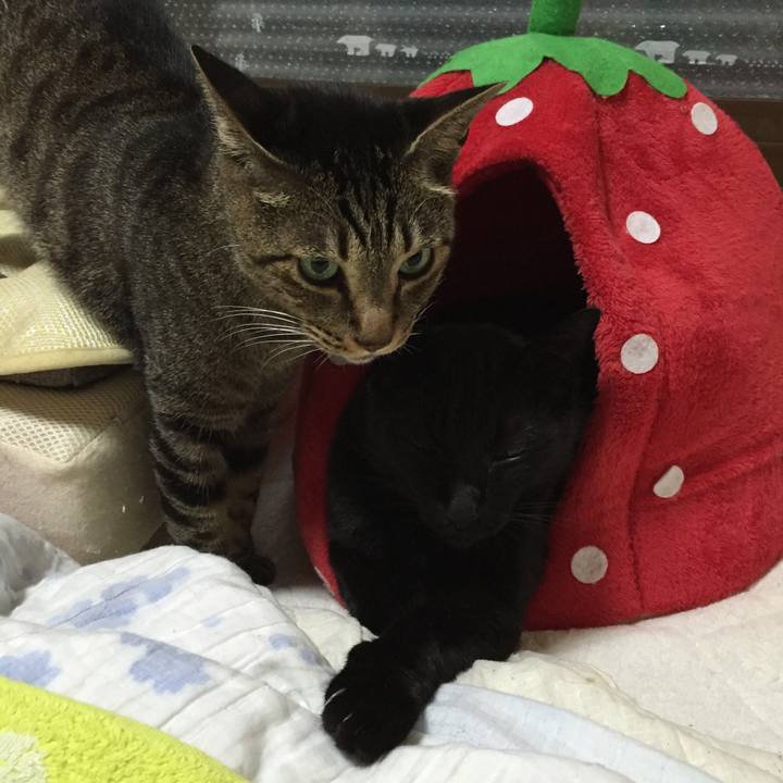 7ec76738 091b 497f a167 6c1de55cdf8d