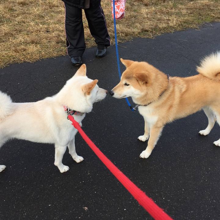 7ec795ea df03 44b8 ba36 98ffe5aba57c