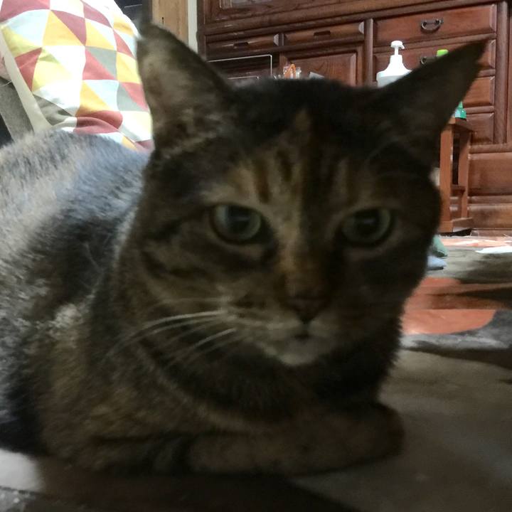 7ec84687 48eb 4333 aa4e 5946c6e70d3a