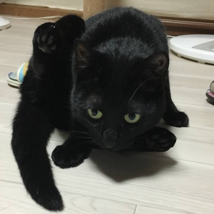 7ec90bbc 58b2 4de1 b045 1b15fbd3e976