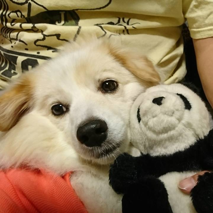 7ec96fcb ec8f 439d 9c48 3d5d4a28561d