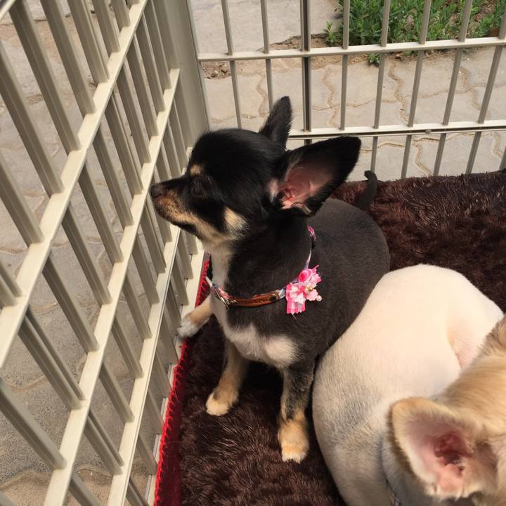 7eca5498 cc8c 4cd2 b213 4e98be78ac3a