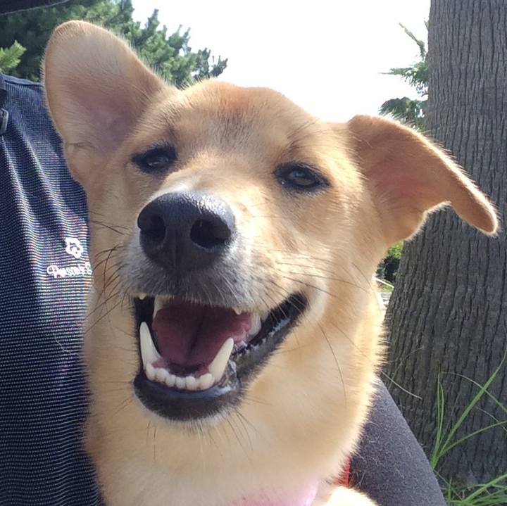 7eca8e46 4886 4bf3 9c9c effb807a7c23