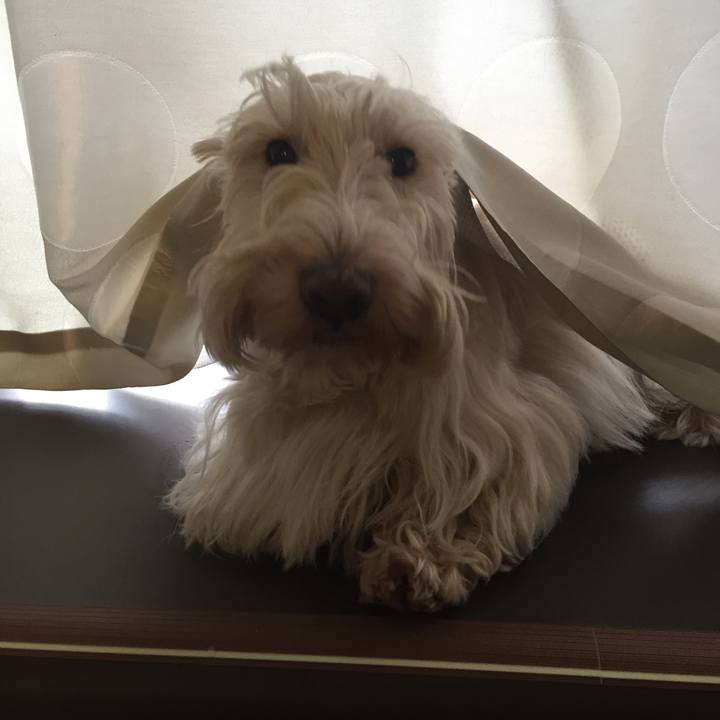 7eca9e6f 06bf 46bd ab71 66ee4046415a