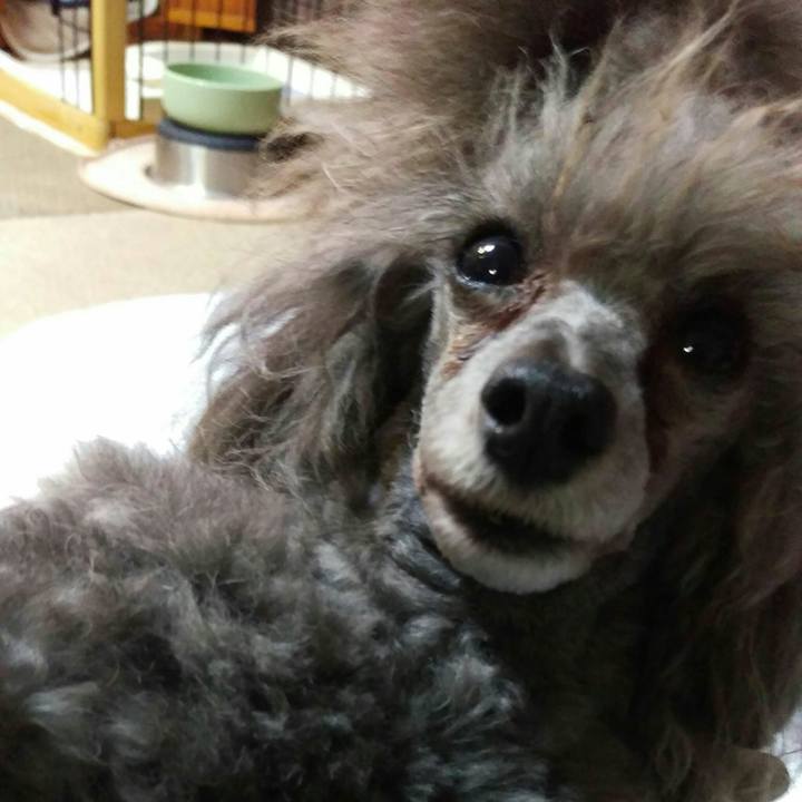 7ecac5cd f56d 4ba8 85d0 c3900b7e9d1d