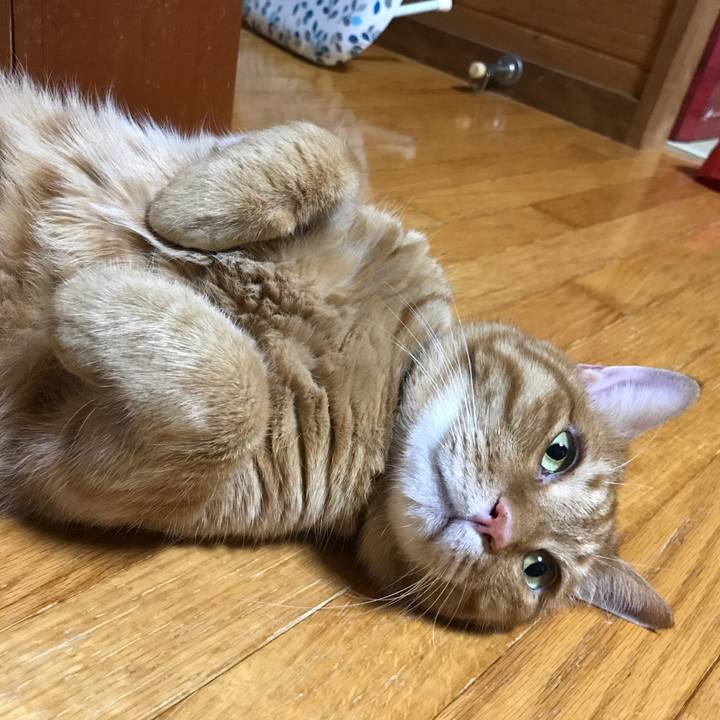 7ecb1aef 055f 4323 8c06 6f18edd9d1cc