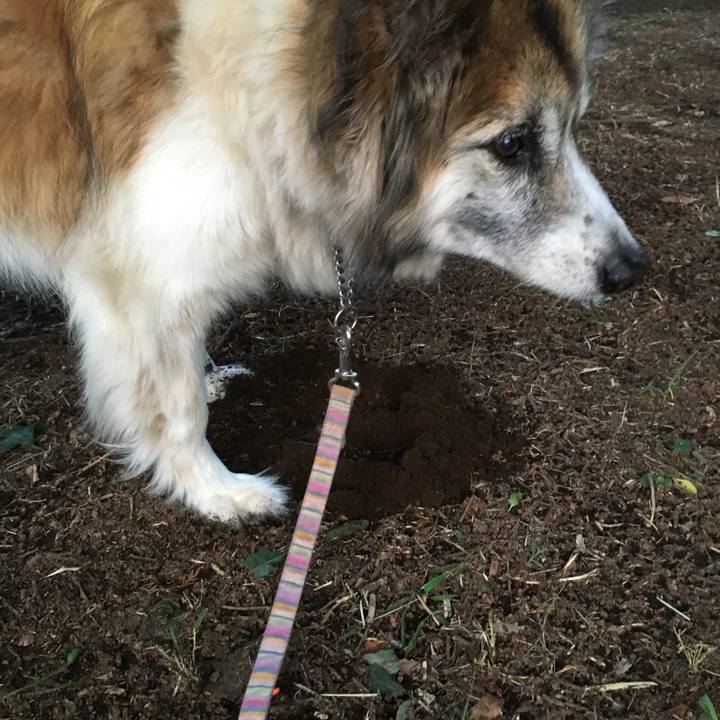 7ecb2158 bd5b 441e a3c5 7448b7e03f0e