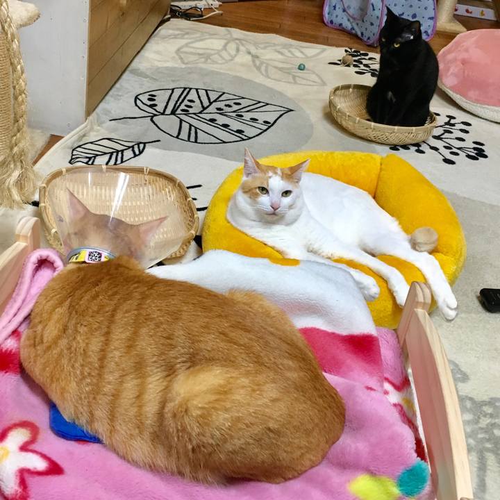 7ecb532e 93f0 431a bbf7 8e5a129b1b45