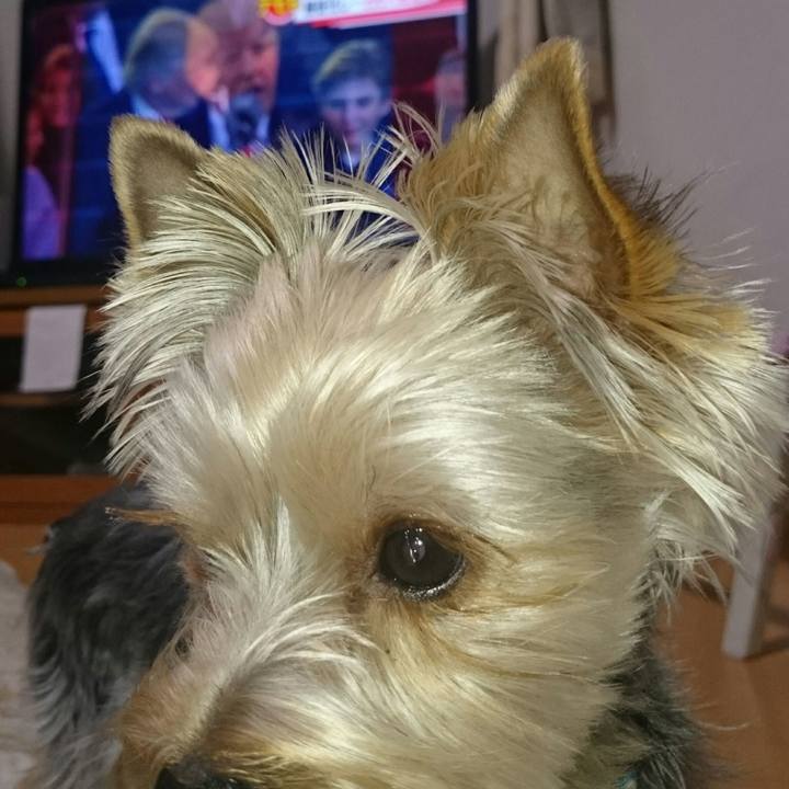 7ecb8963 e891 4c42 a242 8ddd9e643fbf