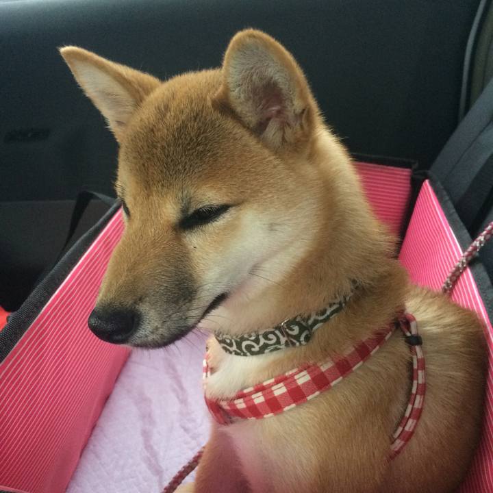 7ecc4bc1 2c1f 45ac 859e 611f7ee9b9f5