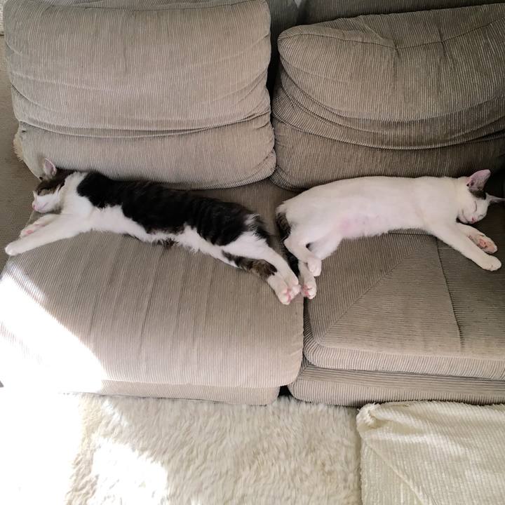 7ecc4ece 9ef8 4661 b24d 5de72a7ab944