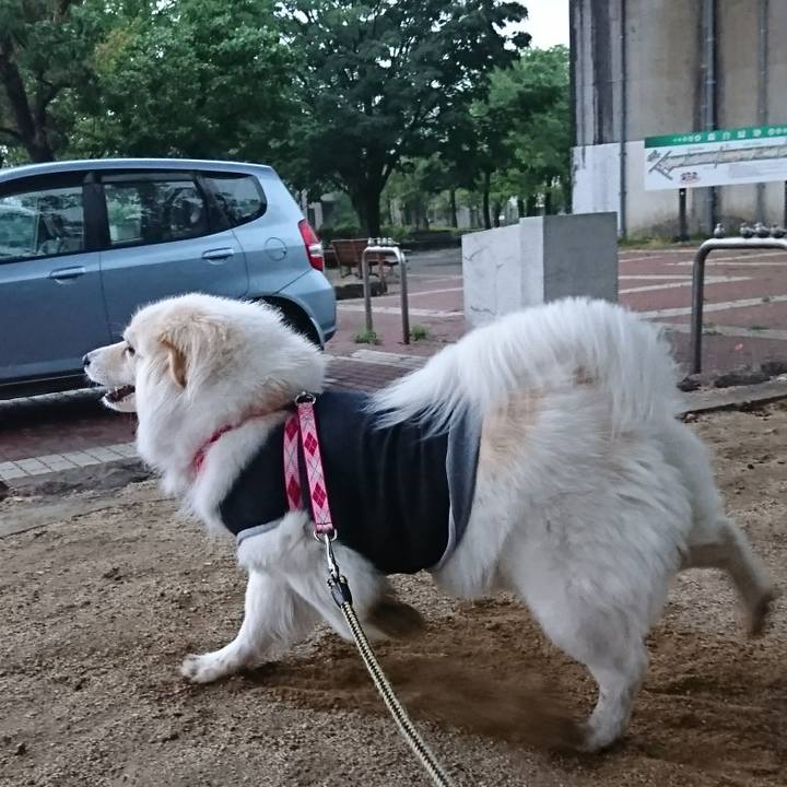 7ecc8dff a93a 415d bcd7 ca820f69bd1a