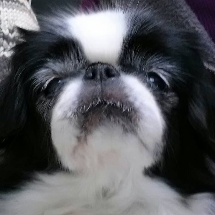 7ecce00d 9895 490f 9dd5 c91689182219