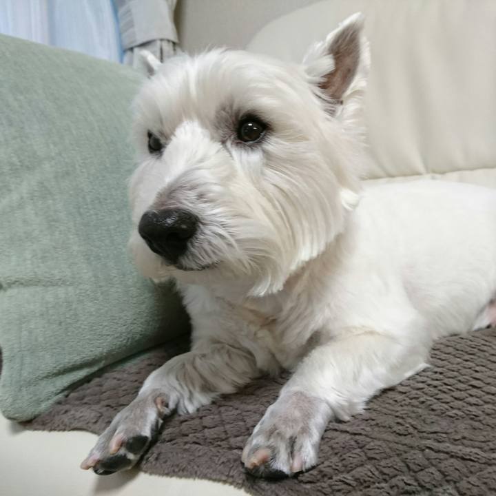 7ecd07f1 2c23 4790 8a44 1dc5824b1cd1