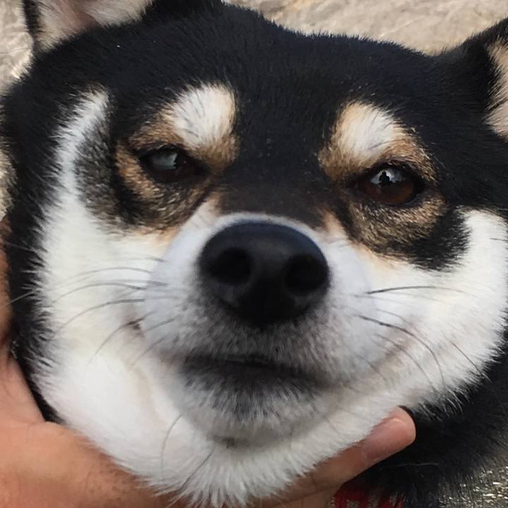 7ecd2ffa f190 4666 9490 fcb6d0ca2461