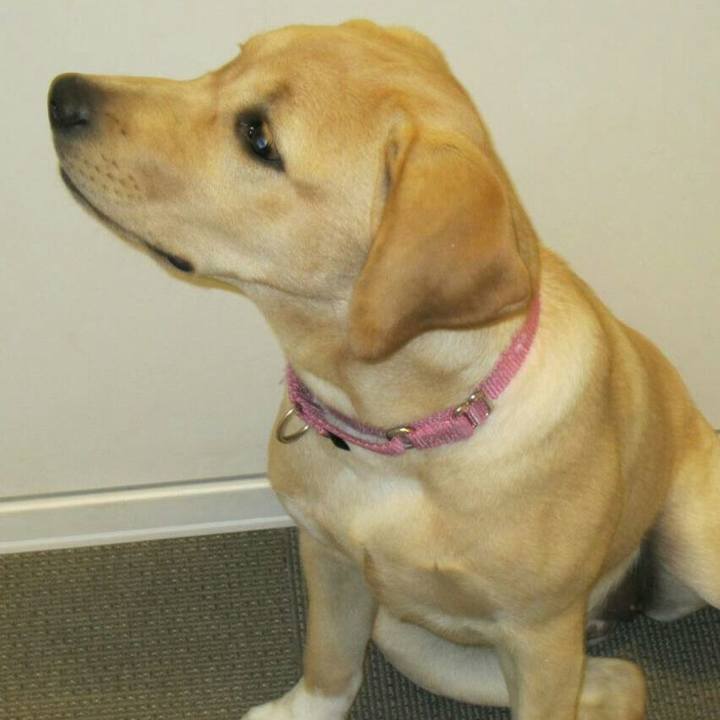 7ecd72dd 9d9b 4365 8597 f4cae92f2a6d