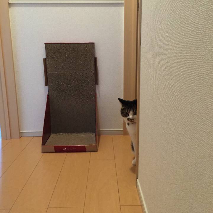 7ece3450 69ec 457b 93ee e2cf58f38748