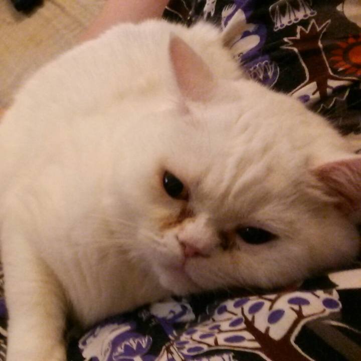 7ece551e 0be5 44c6 b4f6 5cc9e33dd2ec